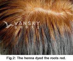 260514145822_Hair-Dying with henna-s.jpg